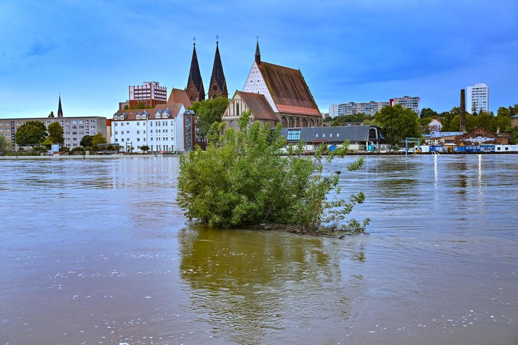 Das Wasser der Oder steht noch sehr hoch in Frankfurt. - Foto: Patrick Pleul/dpa