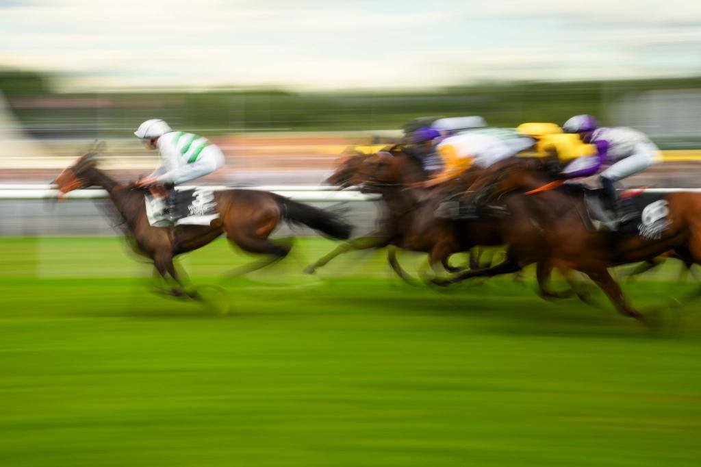 Mit Plänen für höhere Wettsteuern bringt die Pariser Regierung die Reitsportbranche gegen sich auf (Archivbild). - Foto: Gregor Fischer/dpa