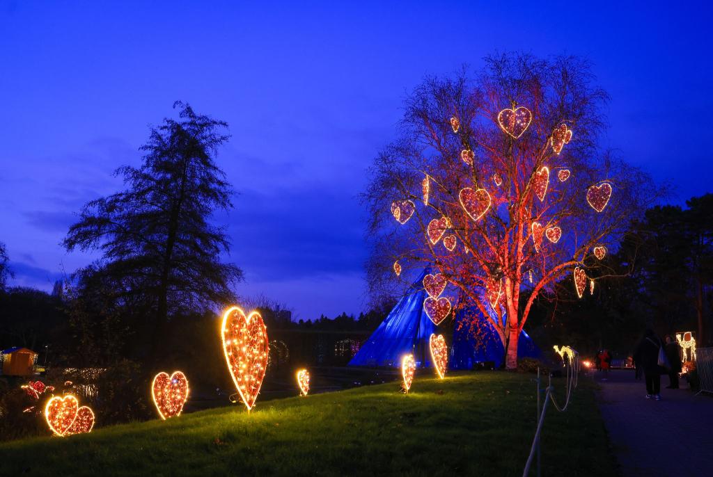 Viele bunte Lichter zu Weihnachten: Besucher sind im «Christmas Garden» im Loki-Schmidt-Garten in Hamburg unterwegs. - Foto: Christian Charisius/dpa