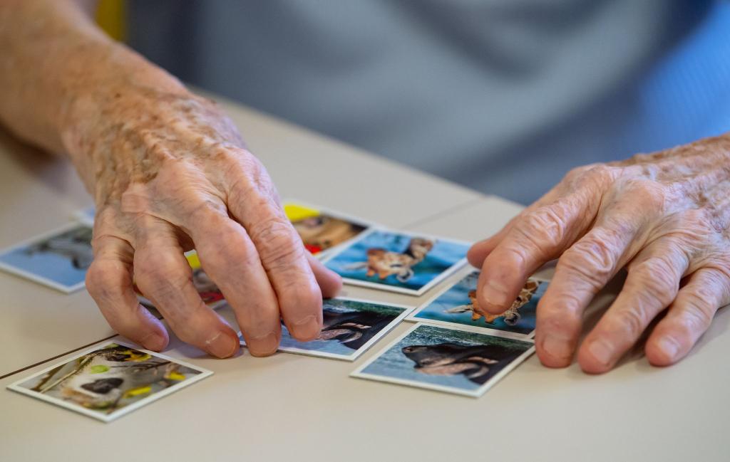 Das Spielen von Memory soll gegen den Gehirnabbau wirken. - Foto: Sven Hoppe/dpa