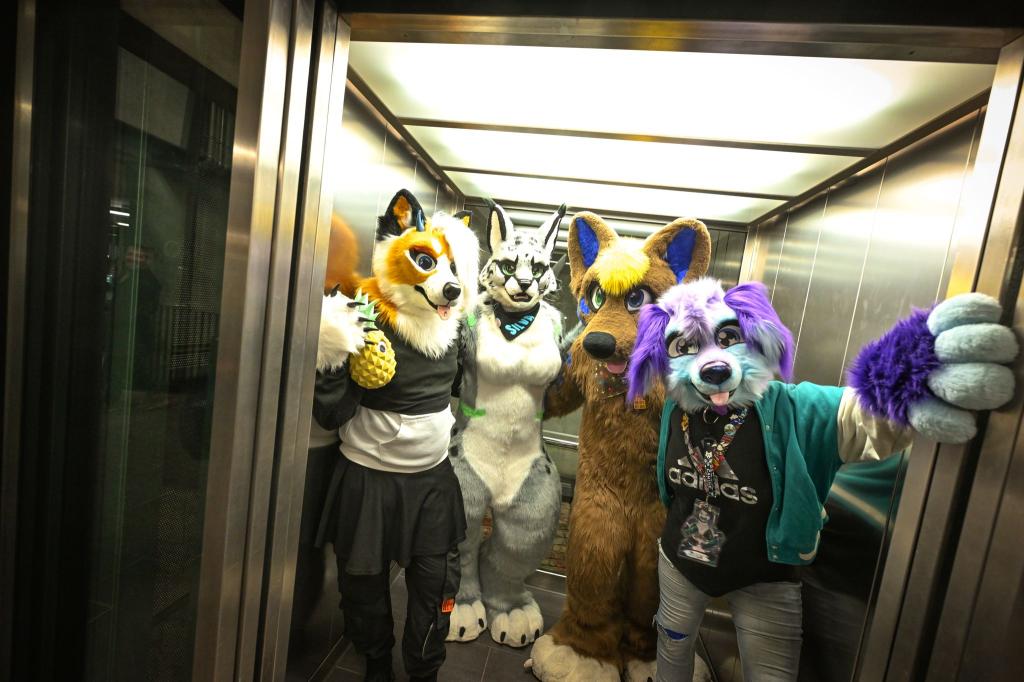 Etwa 100.000 Menschen gehören Schätzungen zufolge mittlerweile dem Furry Fandom in Deutschland an - Tendenz steigend. (Archivbild) - Foto: Felix Kästle/dpa