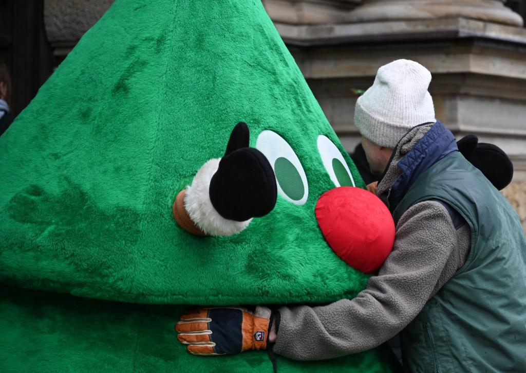 Ein Gärtner muss sich wegen Hausfriedensbruches verantworten, weil er auf einem umzäunten Kita-Gelände heimlich einen Weihnachtsbaum aufgestellt hat. Die Kita hatte sich zuvor gegen einen Baum entschieden. - Foto: Niklas Graeber/dpa