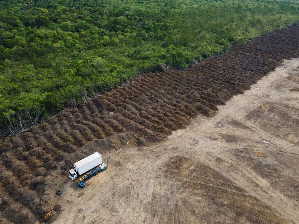 Durch das Gesetz soll die Abholzung des Regenwaldes etwa im Amazonas deutlich reduziert werden. (Symbolbild) - Foto: Fernando Souza/ZUMA Press Wire/dpa