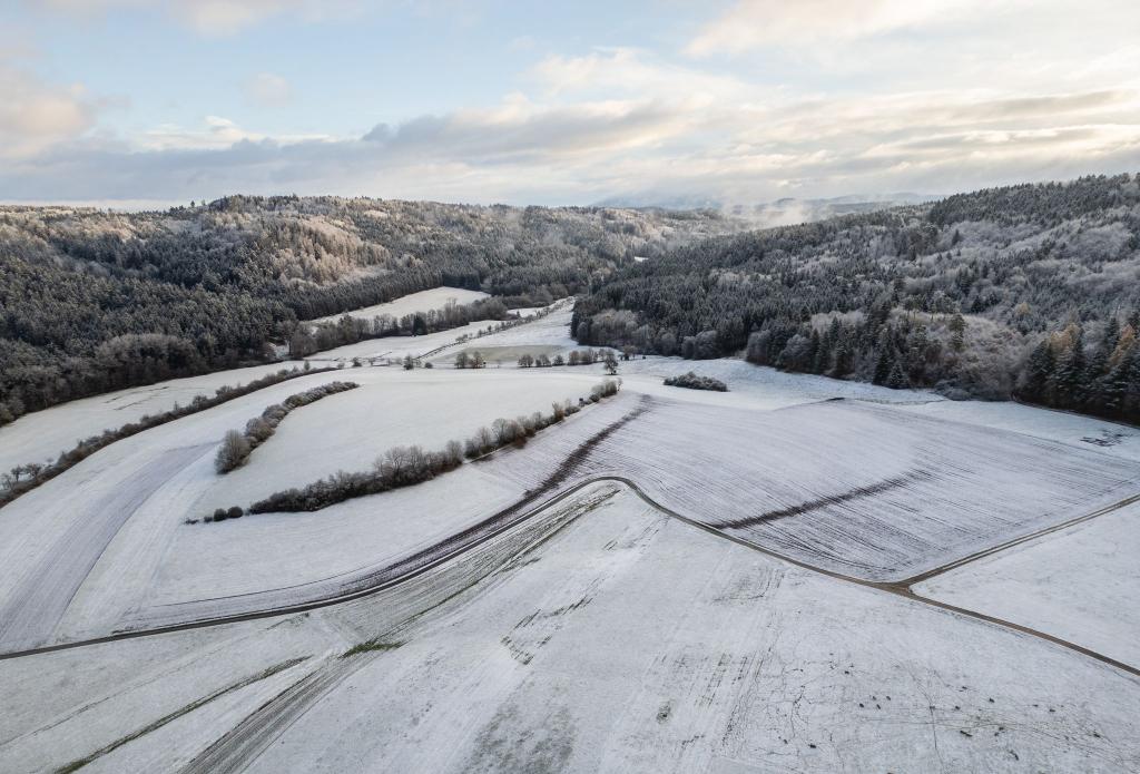 Der DWD warnt vor starkem Schneefall. - Foto: Silas Stein/dpa