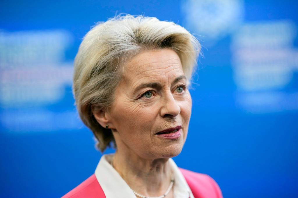 Vor ihrer politischen Laufbahn arbeitete Ursula von der Leyen als Assistenzärztin. (Archivbild) - Foto: Petr Josek/AP/dpa