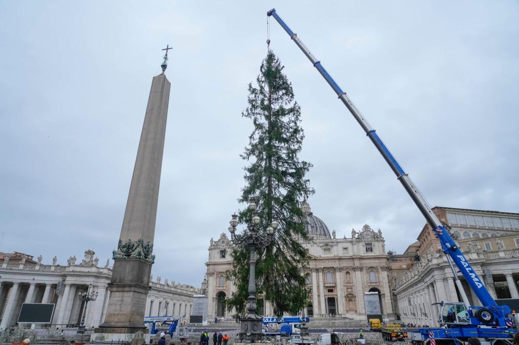 Weihnachtsbaum im Vatikan: eine 29 Meter hohe Rottanne aus dem Dorf Ledro in den Dolomiten wird auf den Petersplatz aufgestellt. - Foto: Gregorio Borgia/AP