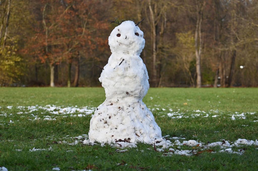 Schlechte Zeiten für Schneemänner. Ein Schneemann steht auf einer grünen Wiese im Englischen Garten in München. In den kommenden Tagen sollen die Temperaturen deutlich ansteigen. - Foto: Katrin Requadt/dpa