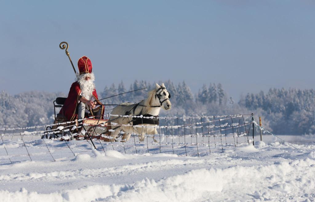 Viele stellen sich ideale Weihnachten so vor: Drinnen leuchtet der Baum, draußen türmt sich der Schnee. (Archivbild) - Foto: Thomas Warnack/dpa