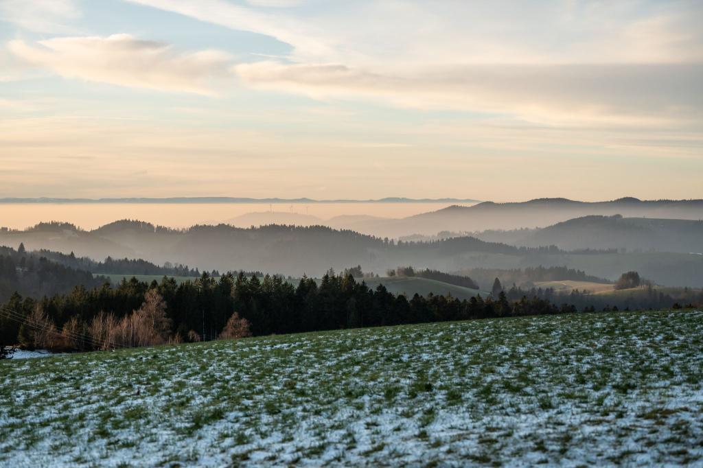 Weiße Weihnachten bleiben wohl den Mittelgebirgen vorbehalten (Archivbild). - Foto: Silas Stein/dpa