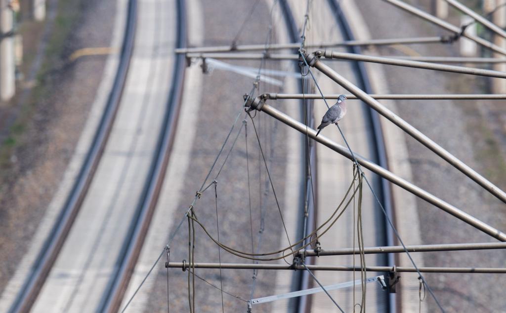 Wer eine Bahn-Oberleitung berührt oder ihr zu nahe kommt, begibt sich in Lebensgefahr. (Archivbild) - Foto: Julian Stratenschulte/dpa