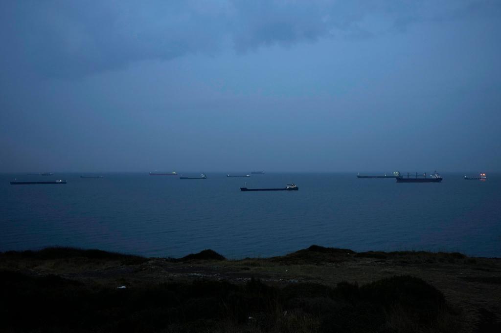 Im Schwarzen Meer ankernde Frachtschiffe warten auf die Durchfahrt durch die Meerenge Bosporus. (Archivbild) - Foto: Khalil Hamra/AP/dpa