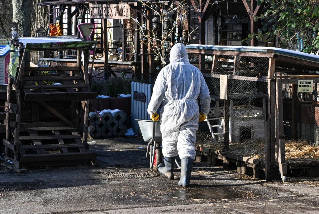 Im Bereich der Schutzzone müssen Mitarbeiter in gefährdeten Tierbetrieben viele Hygienemaßnahmen beachten (Archivbild). - Foto: Jens Kalaene/dpa