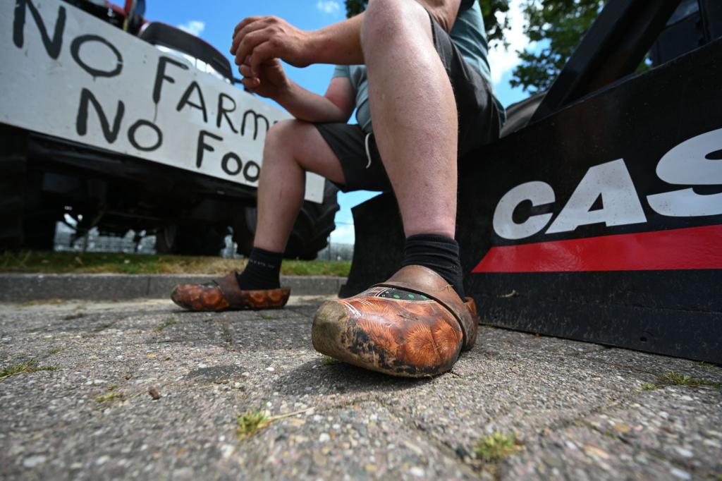 Mehrfach hatten Landwirte in den vergangenen Jahren massiv gegen die Umweltauflagen protestiert. (Archivbild) - Foto: Lars Klemmer/dpa