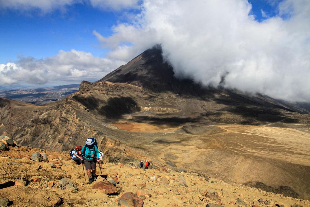 Neuseeland ist für viele eines der Traumländer schlechthin - jetzt können sie dort auch als Urlauber arbeiten. (Archivbild) - Foto: Michael Juhran/dpa-tmn