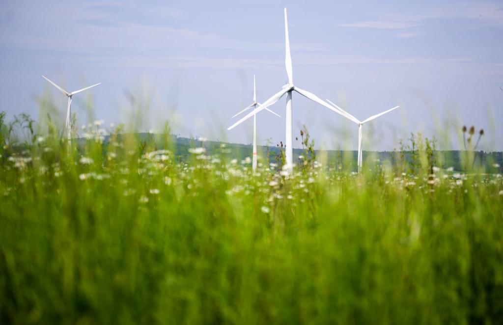 Beim Bau von Windrädern macht Deutschland Fortschritte. Doch in anderen Bereichen hakt es beim Klimaschutz weiter. - Foto: Julian Stratenschulte/dpa