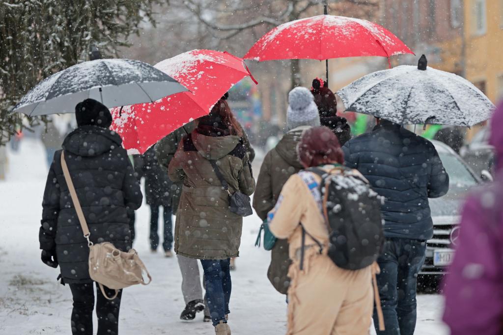 Winterwetter in Thale - Besucher gehen bei dem Faschingsumzug von dem Thalenser Carneval Club e.V. durch den Schnee. - Foto: Matthias Bein/dpa