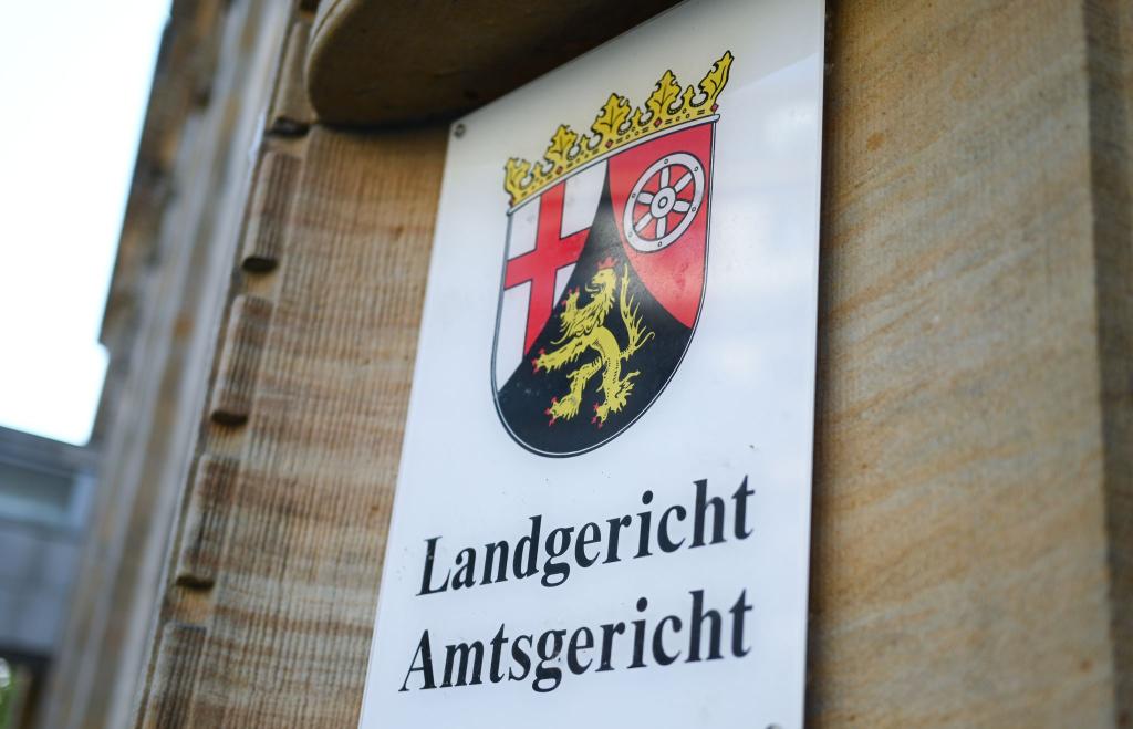 Drei Monate wurde über den nicht gerade alltäglichen Fall aus Mainz verhandelt, am Ende steht eine Haftstrafe für den Sohn (Archivbild). - Foto: Arne Dedert/dpa