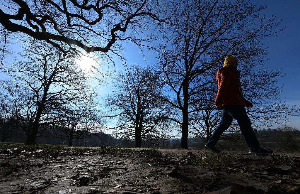 Am Wochenende erwarten die Menschen zweistellige Temperaturen. - Foto: Bernd Weißbrod/dpa