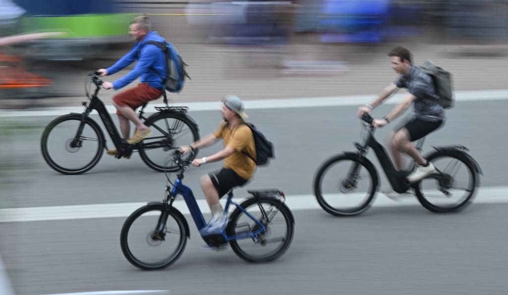 E-Bikes halten im Schnitt länger als gedacht. - Foto: Arne Dedert/dpa