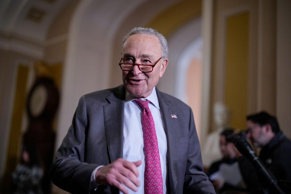 Nach einigem Widerstand gegen einen Haushaltsentwurf der Republikaner lenkt der demokratische Minderheitsführer im Senat, Chuck Schumer, nun ein. (Archivbild) - Foto: J. Scott Applewhite/AP/dpa